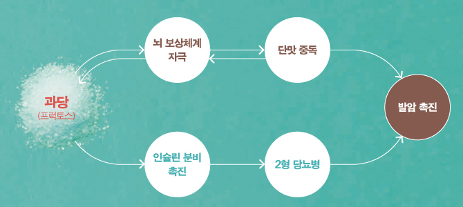 과당(프럭토스)는 뇌보상체계를 자극해 단맛을 중독시켜 발암을 촉진시킬수도 있다.