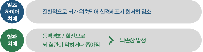 알츠하이머 치매와 혈관 치매 알츠하이머 치매는 전반적으로 뇌가 위축되서 신경세포가 현저히 감소된 치매이고 혈관 치매는 뇌손상으로 인한 치매이다