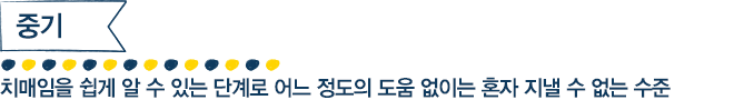중기 치매임을 쉽게 알 수 있는 단계로 어느 정도의 도움 없이는 혼자 지낼 수 없는 수준