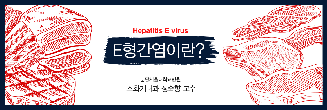 E형간염이란? - 분당서울대학교병원 소화기내과 정숙향 교수 E형간염이란? - 분당서울대학교병원 소화기내과 정숙향 교수