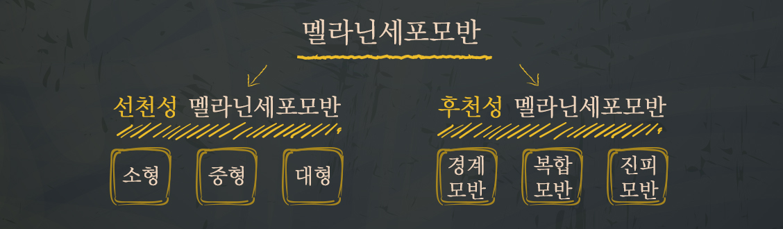 멜라닌세포모반 이미지