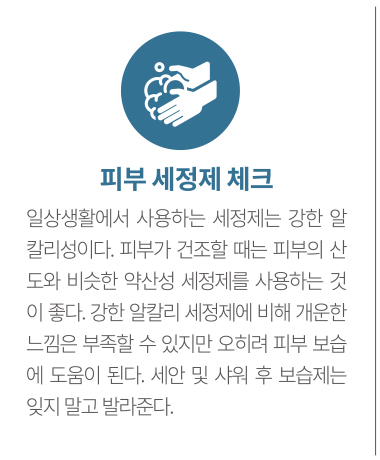 피부 노화 예방