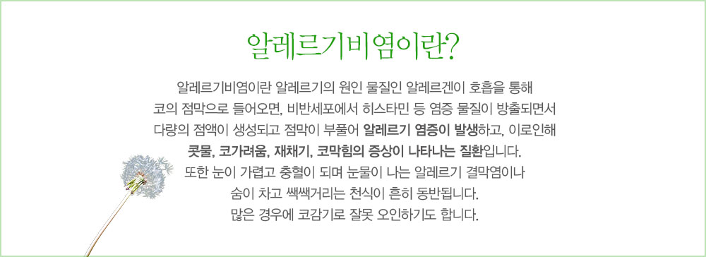 알레르기 비염이란?