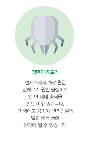 알레르기비염의 원인