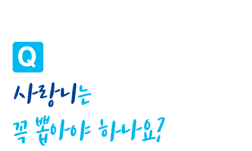 사랑니 질문