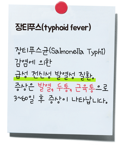 장티푸스 정의와 증상. 장티푸스균(salmonella typhi)감염에 의한 급성 전신성 발열성 질환. 증상은 발열, 두통, 근육통으로 3~60일 후 증상이 나타납니다.