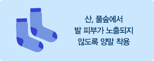 산, 풀숲에서 발 피부가 노출되지 않도록 양말 착용