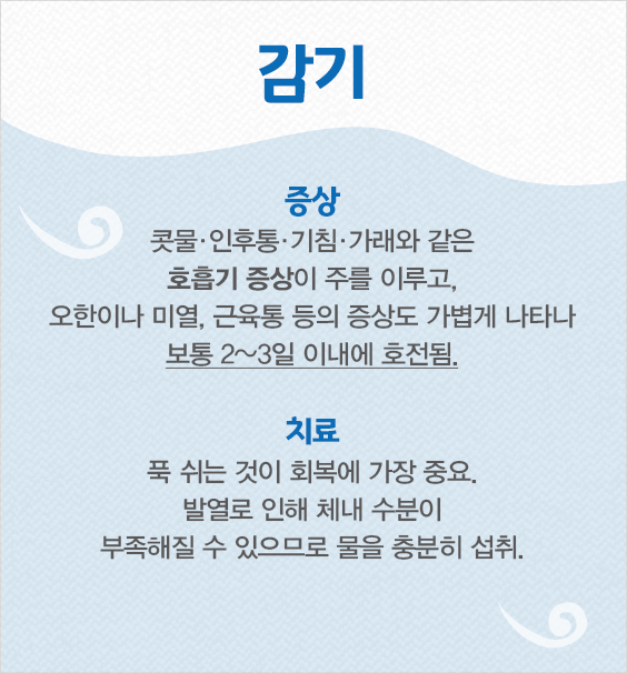 감기의 증상과 치료