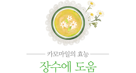 장수에 도움이 된다 제목