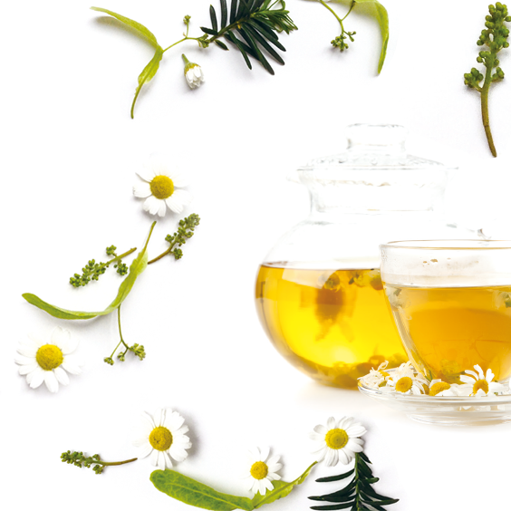 카모마일 차 이미지
