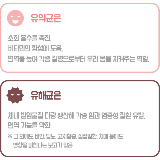 유익균은 소화흡수를 촉진 비타민의 합성에 도움 면역을 높여 각종 질병으로부터 우리몸을 지켜주는 역할 유해균은 체네 발암물질 다량 생산해 각종 암과 염증성 질환 유발 면역기능을 약화 그외에도 비만 당뇨 고지혈증 심장질환 치매에도 영향을 미친다는 보고가 있음