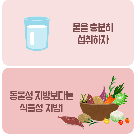 물을 충분히 섭취하자 동물성 지방보다는 식물성 지방