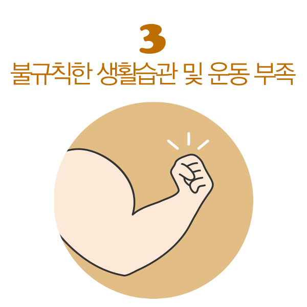 불규칙한 생활습관 및 운동 부족