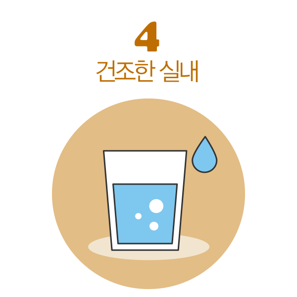 건조한 실내