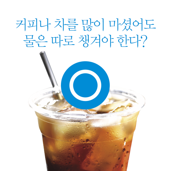 커피나 차를 많이 마셨어도 물은 따로 챙겨야한다?