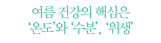 여름 건강의 핵심은 '온도'와 '수분' , '위생'