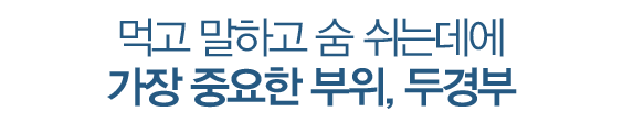 먹고 말하고 숨 쉬는데에 가장 중요한 부위, 두경부