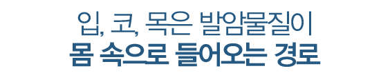 입코목은 발암물질이 몸속으로 들어오는 경로