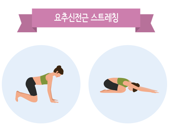 요추신전근 스트레칭