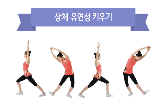 상체 유연성 키우기