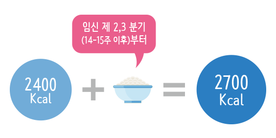 임신 제 2,3분기 14-15주 이후 부터 + 2400kcal =  2700kcal