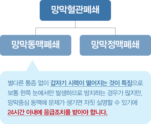 망막혈관폐쇄 망막동맥폐쇄 망막정맥폐쇄 별다른 통증없이 갑자기 시력이 떨어지는 것이 특징으로 보통 한쪽 눈에서만 발생하므로 방치하는 경우가 많지만, 망막중심 동맥에 문제가 생기면 자칫 실명할수 있기에 24시간 이내에 응급조치를 받아야합니다.