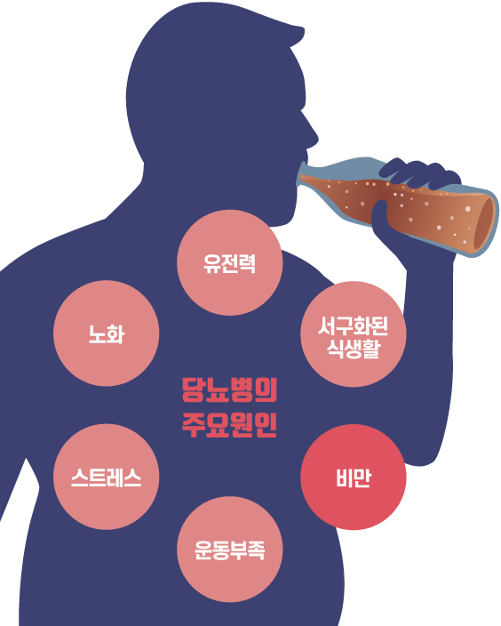 당뇨병의 주요원인