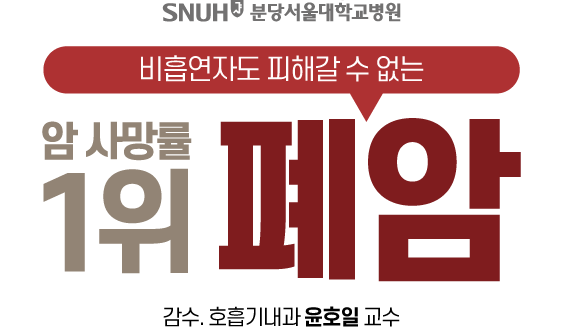 제목