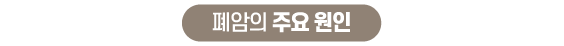 폐암의 주요 원인 제목