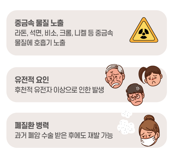 폐암의 주요 원인 내용