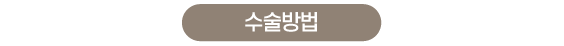 제목