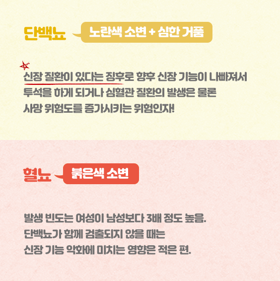 단백뇨와 혈뇨 수정