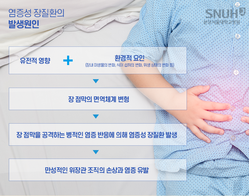 염증성 장질환의 발생원인. 유전적 영향 + 환경적요인(장내 미생물의 변화, 식이 섭취의 변화, 위생 상태의 변화 등). 장 점막의 면역체계 변형. 장 점막을 공격하는 병적인 염증 반응에 의해 염증성 장질환 발생. 만성적인 위장관 조직의 손상과 염증 유발