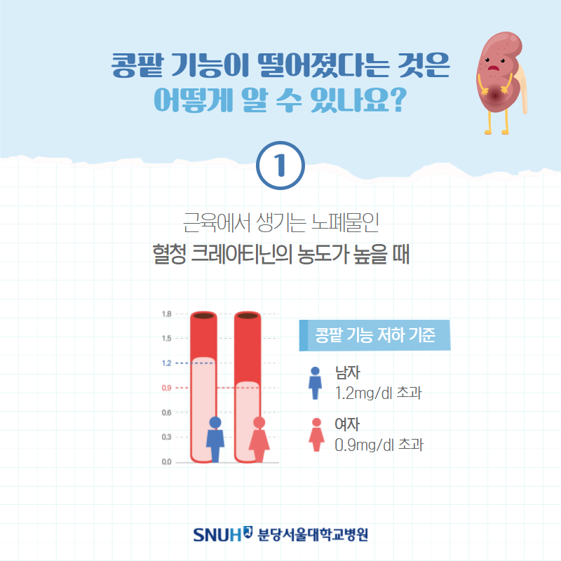 콩팥 기능이 떨어졌다는 것은 어떻게 알 수 있나요? 1.근육에서 생기는 노폐물인 혈청 크레이타닌의 농도가 높을때 : 콩팥 기능 저하 기준 - 남자:1.2mg/dl초과, 여자 0.9mg/dl 초과. 