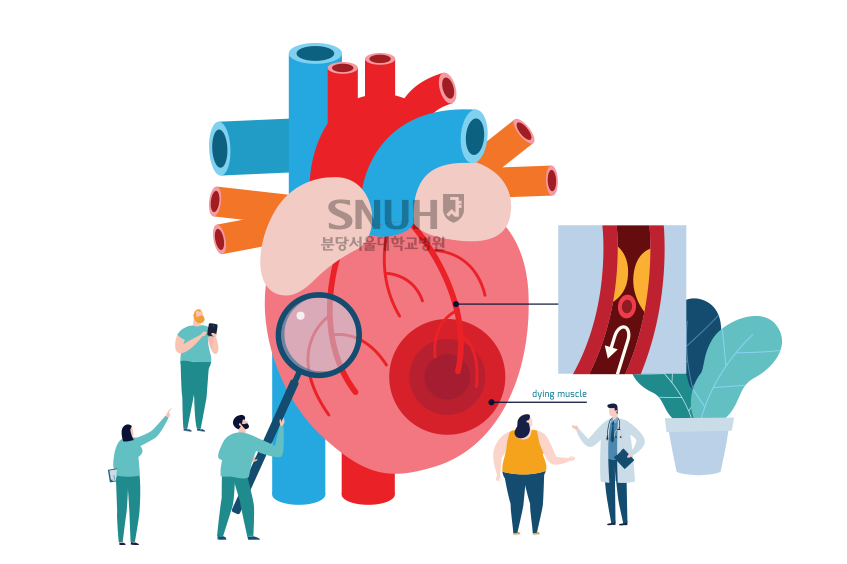 심혈관 이미지