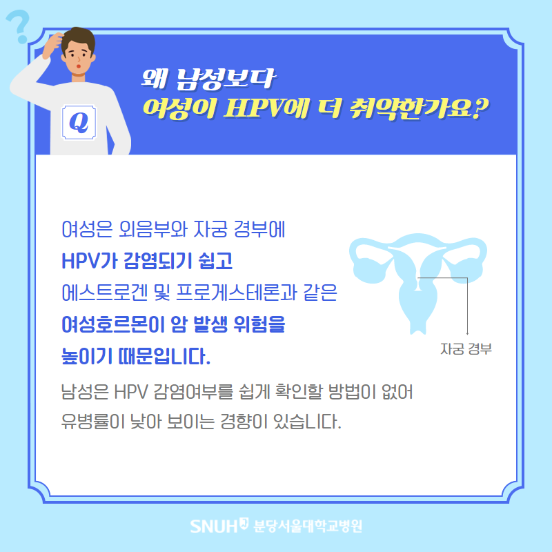 왜 남성보다 여성이 HPV에 더 취약한가요? 여성은 외음부와 자궁경부에 HPV가 감염되기 쉽고 에스트로겐 및 프로게스테론과 같은 여성호르몬이 암 발생 위험을 높이기 때문입니다. 남성은 HPV 감염여부를 쉽게 확인할 방법이 없어 유병률이 낮아 보이는 경향이 있습니다. 