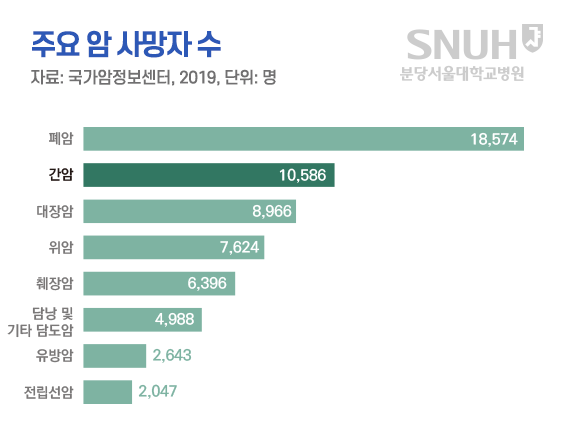 주요 암 사망자 수. 자료: 국가암정보센터, 2019, 단위:명. 폐암: 18.574명, 간암: 10,586명, 대장암: 8.966명, 위암: 7,624명, 췌장암: 6.396명, 담낭 및 기타 담도암: 4.988명, 유방암:2,643명, 전립선암:2,047명.