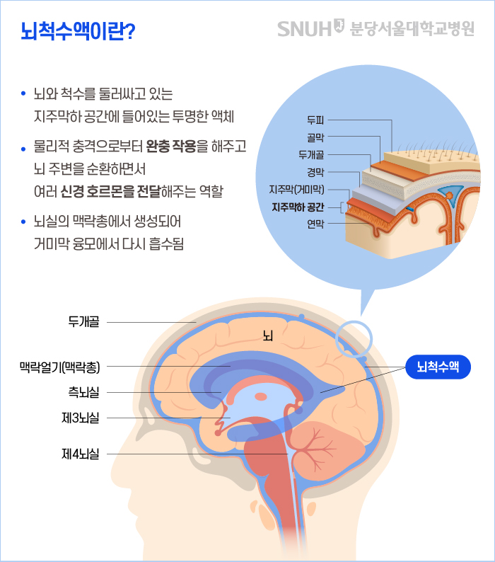 뇌척수액이란?