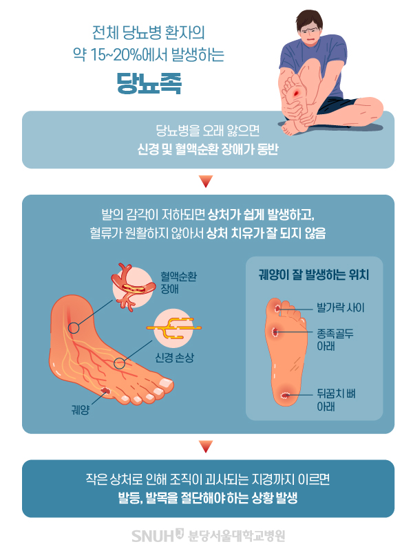 당뇨족 발병과정 