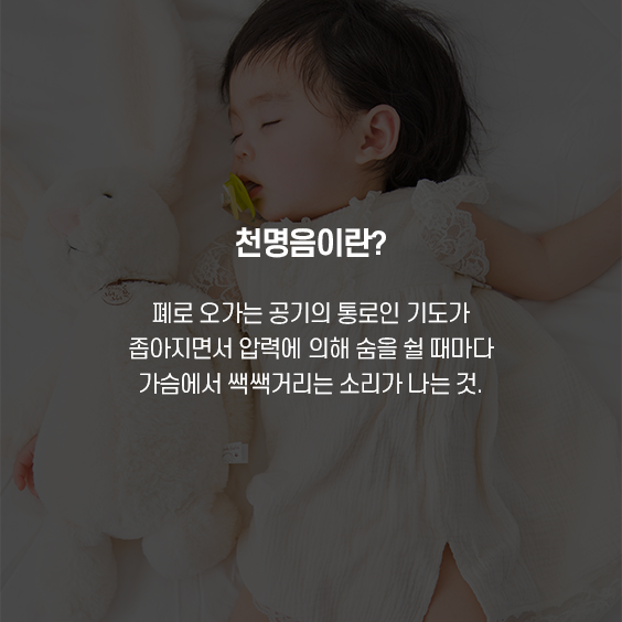 천명음이란.폐로 오가는 공기의 통로이 기도가 좁아지면서 압력에 의해 숨을 쉴 때마다 가습에서 쌕쌕거리는 소리가 나는 것.