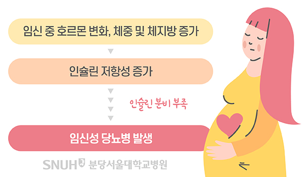 임신 중 호르몬 변화, 체중 및 체지방 증가 > 인슐린 저항성 증가 (인슐린 분비 부족) > 임신성 당뇨병 발생