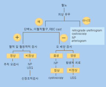 혈뇨의 원인을 찾기 위한 검사에는 어떤 것이 있나요