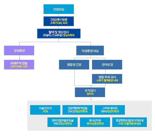 진료 및 치료계획 수립과정