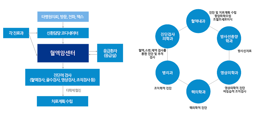 진료 및 치료계획 수립과정