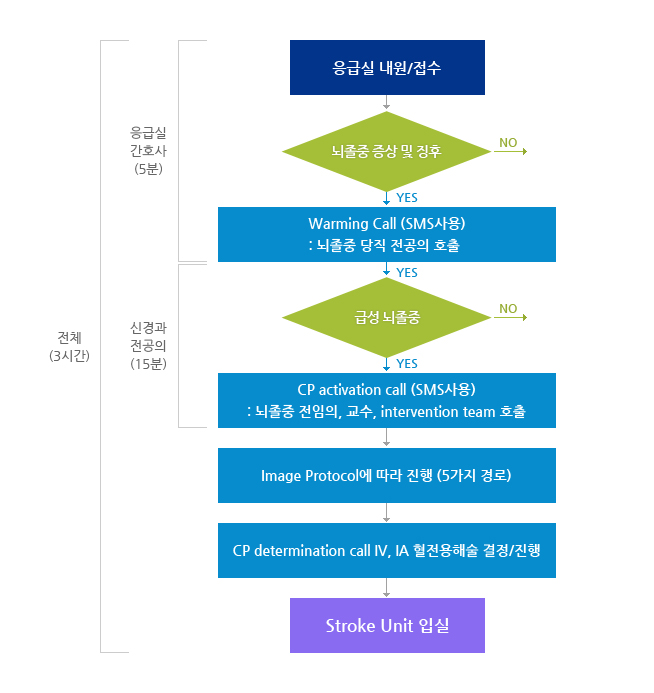 진료 및 치료계획 수립과정