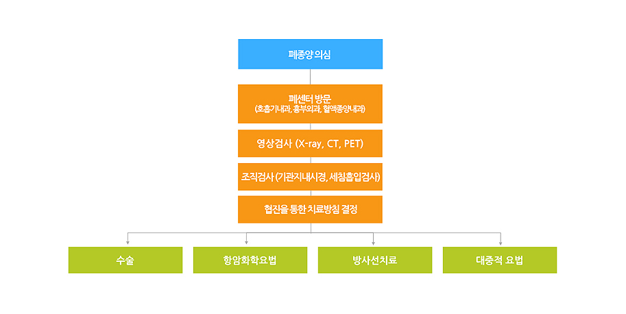 진료 및 치료계획 수립과정