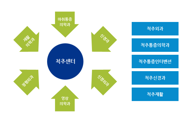 척추센터구성