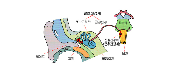 어지럼증이란