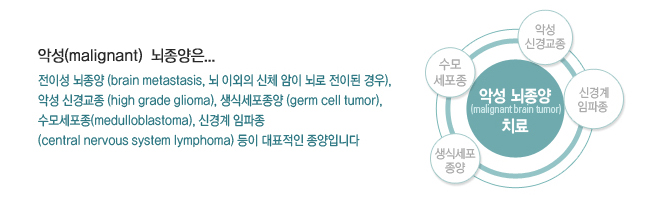 악성 뇌종양 