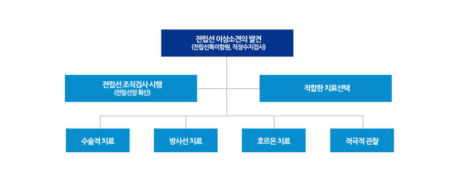 진료 및 치료계획 수립과정